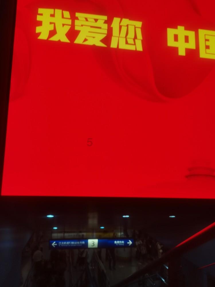 可怜猫的救援