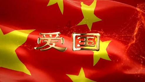 放飞笼中鸟